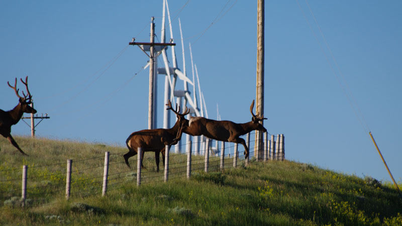 Wyoming